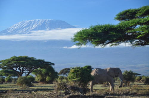 Kenya 2017