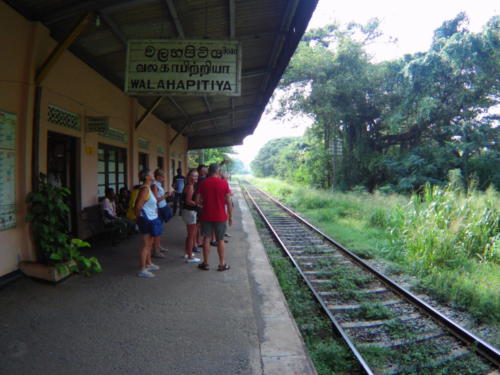 Sri Lanka - pociąg